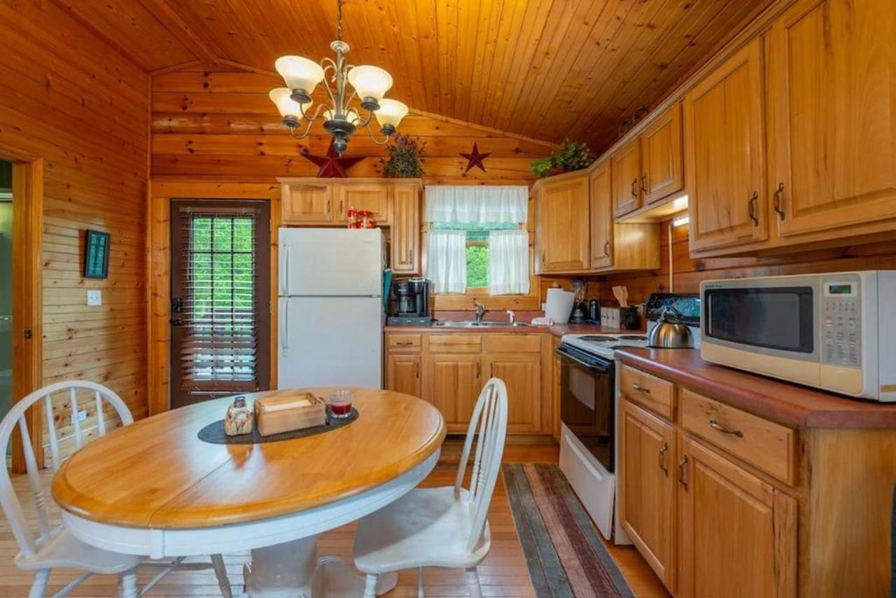 Log Cabin Stunning Mountain Views On 12 Acres Candler Εξωτερικό φωτογραφία